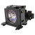 LKX62W-LAMP