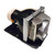 Compact-223-LAMP
