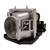 Compact-223-LAMP