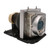 Compact-223-LAMP