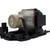 Original DT01431 Lamp & Housing for Hitachi Projectors - 1 Year Warranty