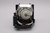 XR-11XC-LAMP
