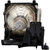 DPS-2 replacement lamp