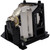CP-HS2050 replacement lamp