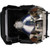 LC-XG250L-LAMP