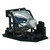 Image-Pro-8753-LAMP