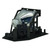 SP-50M-LAMP