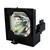 LAMP-025 LAMP-025