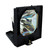 LAMP-025 LAMP-025
