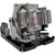 EX799P Original OEM replacement Lamp