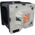 VX-2DC-LAMP