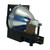 PLC-XF20 Original OEM replacement Lamp