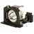 PD112 Original OEM replacement Lamp