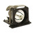 SP.80V01.001 SP.80V01.001