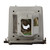 DX602 Original OEM replacement Lamp