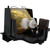 MT850 Original OEM replacement Lamp