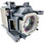 VPL-F500H Original OEM replacement Lamp