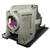 NP210G-LAMP