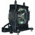 VPL-VW55ES Original OEM replacement Lamp