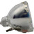 YODN 440W 20R Moving Head Light Discharge Lamp for the Aiweidi A-2470BS Fixture