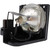 LC-X983-LAMP