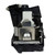 PG-F312X Original OEM replacement Lamp