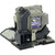NP-M322WS-LAMP