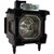 C431-LAMP