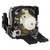 REALIS-SX80-Mark-II Original OEM replacement Lamp