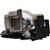 VPL-BW7 Original OEM replacement Lamp