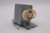 HD27HDR Original OEM replacement Lamp