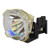 LX-P1010ZE Original OEM replacement Lamp