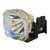 LX-P1010ZE Original OEM replacement Lamp