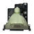 Roadrunner-L8-LAMP