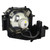 EB-DM2-LAMP