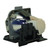 DS306 Original OEM replacement Lamp