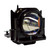 PT-DW100-SINGLE Original OEM replacement Lamp