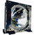 XG-P20-LAMP