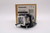 PT-VX410U Original OEM replacement Lamp