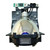 PT-DW100-SINGLE-LAMP