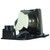Original Inside Lamp & Housing for the Optoma EzPro 719P Projector with Philips bulb inside - 240 Day Warranty