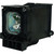 ImagePro-8806 replacement lamp