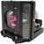 PG-M25 replacement lamp