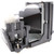 PG-M25 replacement lamp