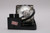 Compatible Lamp & Housing for The HP IN39 Projector - 90 Day Warranty