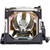 DP-9295-LAMP