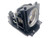 dv420 replacement lamp