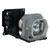 XL1550U-LAMP