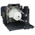 PT-EW550 replacement lamp