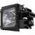 XG-C50X-LAMP
